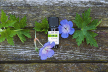 Geranium ätherisches Öl