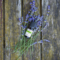 Lavendel ätherisches Öl