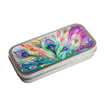 Metalletui Pfauenfedern